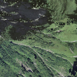 Satellite imagery of Gross-Schiffli, CH