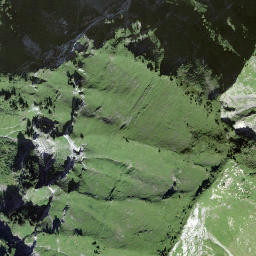 Satellite imagery of Gross-Schiffli, CH