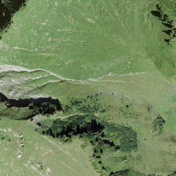 Satellite imagery of Gross-Schiffli, CH
