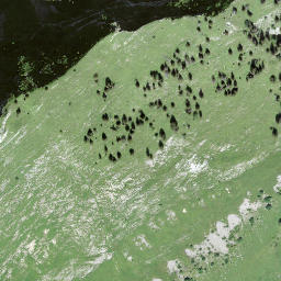 Satellite imagery of Bällehöchst, CH