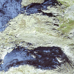 Satellite imagery of Planggenstock, CH