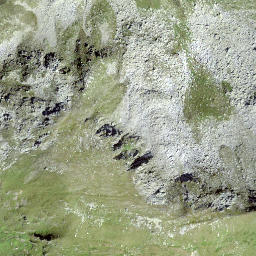 Satellite imagery of Ils Cotschens, CH