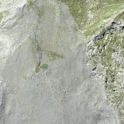 Satellite imagery of Ils Cotschens, CH