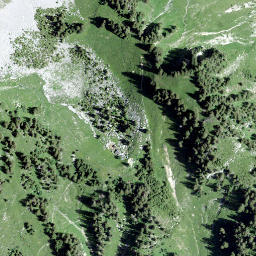 Satellite imagery of Euschelsflue, CH