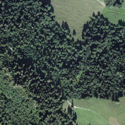 Satellite imagery of Cholebärgli, CH