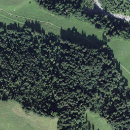 Satellite imagery of Cholebärgli, CH