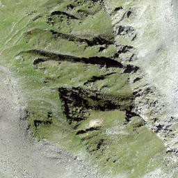 Satellite imagery of Ils Cotschens, CH