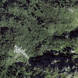 Satellite imagery of Muota, CH