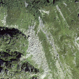 Satellite imagery of Muota, CH