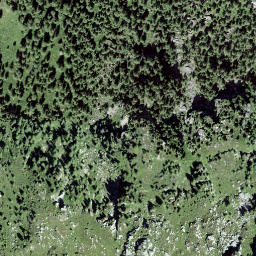 Satellite imagery of Plan Palé, CH