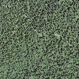 Satellite imagery of 151, FR