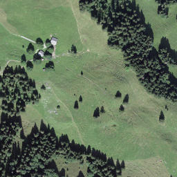 Satellite imagery of Cholebärgli, CH