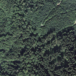 Satellite imagery of Leiterhorn, CH