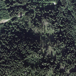 Satellite imagery of Leiterhorn, CH