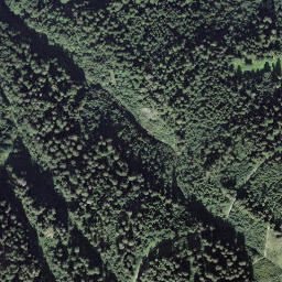 Satellite imagery of Bärenbodengrind, CH