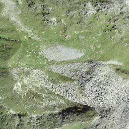 Satellite imagery of Piz Ner, CH