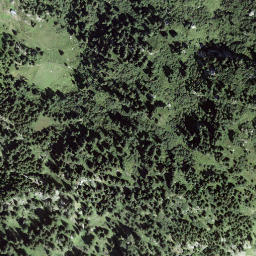 Satellite imagery of Muota, CH