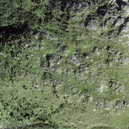 Satellite imagery of Muota, CH