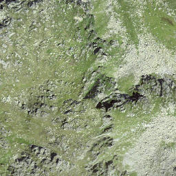 Satellite imagery of Muota, CH