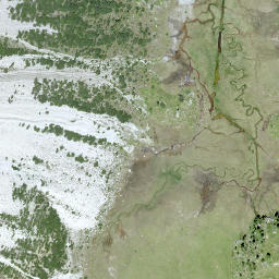Satellite imagery of Munt Buffalora, CH