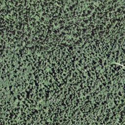 Satellite imagery of 147, FR