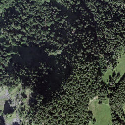 Satellite imagery of Leiterhorn, CH