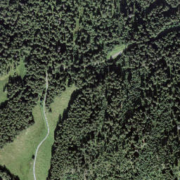 Satellite imagery of Leiterhorn, CH