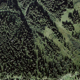 Satellite imagery of Bärenbodengrind, CH