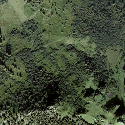 Satellite imagery of Bärenbodengrind, CH