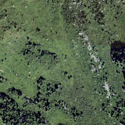 Satellite imagery of Piz Curvet, CH