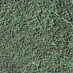 Satellite imagery of 154, CH