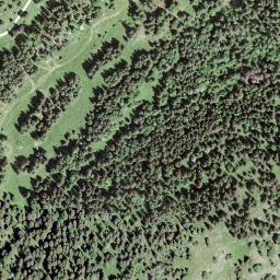 Satellite imagery of Le Risel, CH