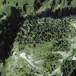 Satellite imagery of Chrachihorn, CH