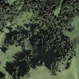 Satellite imagery of Schlossberg, CH