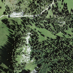 Satellite imagery of Puntelgabel, CH