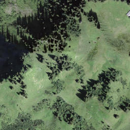 Satellite imagery of Burg, CH