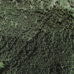 Satellite imagery of Bärenbodengrind, CH
