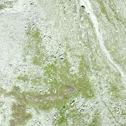 Satellite imagery of Rinbortsberg, CH