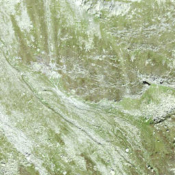 Satellite imagery of Rinbortsberg, CH