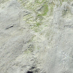 Satellite imagery of Piz Ner, CH