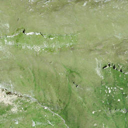 Satellite imagery of Piz Aul, CH