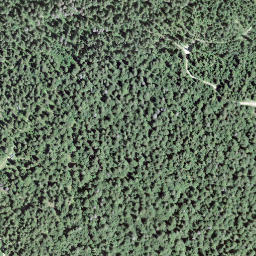 Satellite imagery of 155, CH