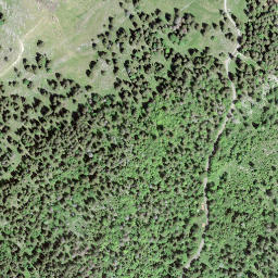 Satellite imagery of Le Risel, CH