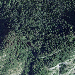 Satellite imagery of Les Vanils, CH