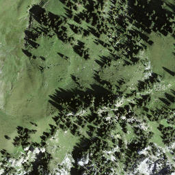 Satellite imagery of Puntelgabel, CH
