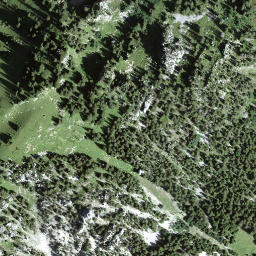 Satellite imagery of Puntelgabel, CH