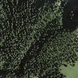 Satellite imagery of Engelhorn, CH