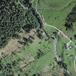 Satellite imagery of Witliflue, CH