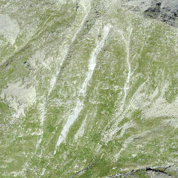 Satellite imagery of Piz Starlera, CH