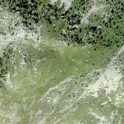 Satellite imagery of Pizzet, CH
